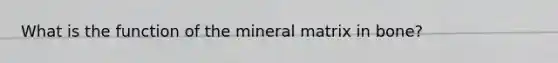 What is the function of the mineral matrix in bone?