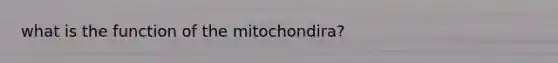 what is the function of the mitochondira?