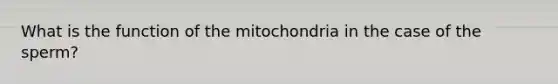 What is the function of the mitochondria in the case of the sperm?