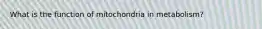 What is the function of mitochondria in metabolism?