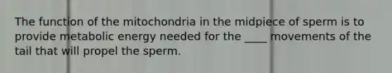 The function of the mitochondria in the midpiece of sperm is to provide metabolic energy needed for the ____ movements of the tail that will propel the sperm.