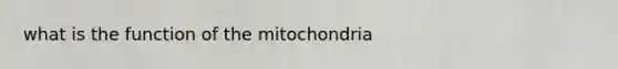 what is the function of the mitochondria