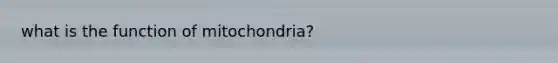 what is the function of mitochondria?