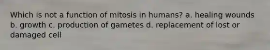 Which is not a function of mitosis in humans? a. healing wounds b. growth c. production of gametes d. replacement of lost or damaged cell