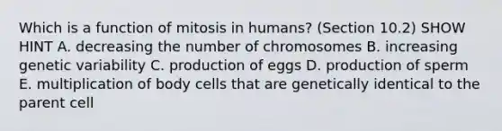 Which is a function of mitosis in humans? (Section 10.2) SHOW HINT A. decreasing the number of chromosomes B. increasing genetic variability C. production of eggs D. production of sperm E. multiplication of body cells that are genetically identical to the parent cell