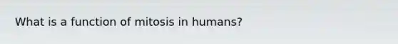 What is a function of mitosis in humans?