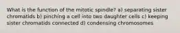 What is the function of the mitotic spindle? a) separating sister chromatids b) pinching a cell into two daughter cells c) keeping sister chromatids connected d) condensing chromosomes