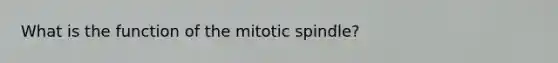 What is the function of the mitotic spindle?