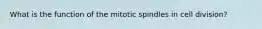 What is the function of the mitotic spindles in cell division?