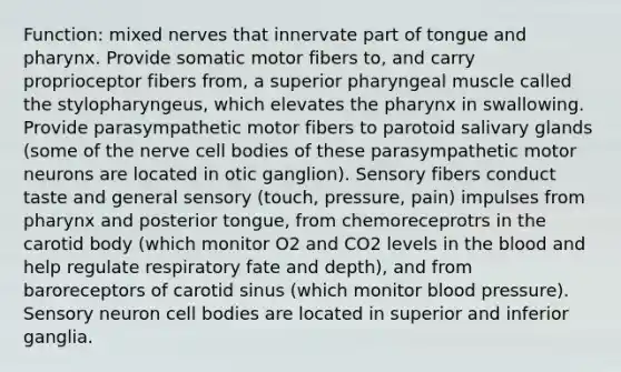 Function: mixed nerves that innervate part of tongue and pharynx. Provide somatic motor fibers to, and carry proprioceptor fibers from, a superior pharyngeal muscle called the stylopharyngeus, which elevates <a href='https://www.questionai.com/knowledge/ktW97n6hGJ-the-pharynx' class='anchor-knowledge'>the pharynx</a> in swallowing. Provide parasympathetic motor fibers to parotoid salivary glands (some of the nerve cell bodies of these parasympathetic motor neurons are located in otic ganglion). Sensory fibers conduct taste and general sensory (touch, pressure, pain) impulses from pharynx and posterior tongue, from chemoreceprotrs in the carotid body (which monitor O2 and CO2 levels in <a href='https://www.questionai.com/knowledge/k7oXMfj7lk-the-blood' class='anchor-knowledge'>the blood</a> and help regulate respiratory fate and depth), and from baroreceptors of carotid sinus (which monitor <a href='https://www.questionai.com/knowledge/kD0HacyPBr-blood-pressure' class='anchor-knowledge'>blood pressure</a>). Sensory neuron cell bodies are located in superior and inferior ganglia.