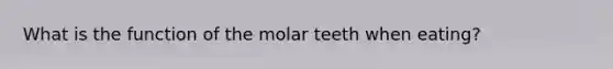 What is the function of the molar teeth when eating?