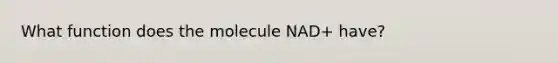 What function does the molecule NAD+ have?