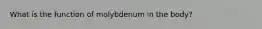 What is the function of molybdenum in the body?