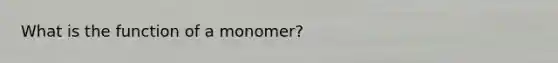 What is the function of a monomer?