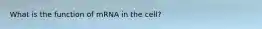 What is the function of mRNA in the cell?