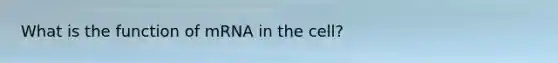 What is the function of mRNA in the cell?