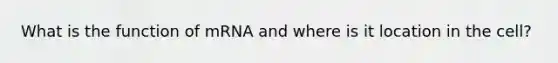 What is the function of mRNA and where is it location in the cell?