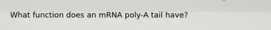 What function does an mRNA poly-A tail have?