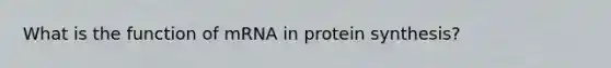 What is the function of mRNA in protein synthesis?