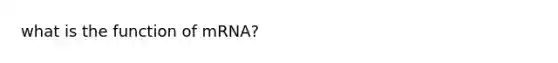 what is the function of mRNA?