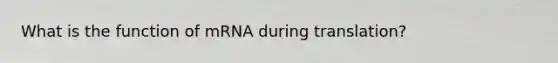 What is the function of mRNA during translation?
