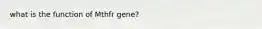 what is the function of Mthfr gene?