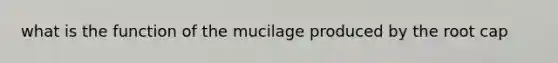 what is the function of the mucilage produced by the root cap