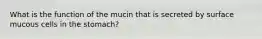 What is the function of the mucin that is secreted by surface mucous cells in the stomach?