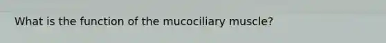 What is the function of the mucociliary muscle?