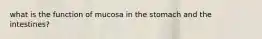 what is the function of mucosa in the stomach and the intestines?