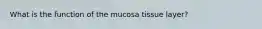 What is the function of the mucosa tissue layer?