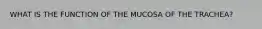 WHAT IS THE FUNCTION OF THE MUCOSA OF THE TRACHEA?