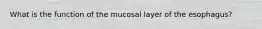 What is the function of the mucosal layer of the esophagus?