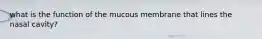 what is the function of the mucous membrane that lines the nasal cavity?