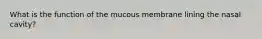 What is the function of the mucous membrane lining the nasal cavity?