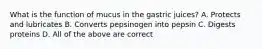 What is the function of mucus in the gastric juices? A. Protects and lubricates B. Converts pepsinogen into pepsin C. Digests proteins D. All of the above are correct