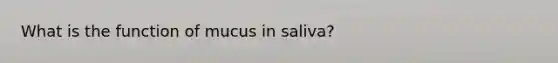 What is the function of mucus in saliva?