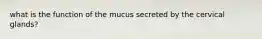 what is the function of the mucus secreted by the cervical glands?