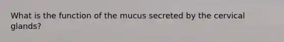 What is the function of the mucus secreted by the cervical glands?