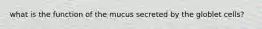 what is the function of the mucus secreted by the globlet cells?