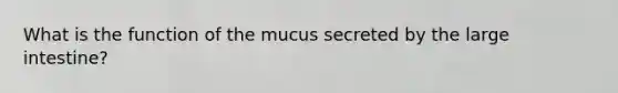 What is the function of the mucus secreted by the <a href='https://www.questionai.com/knowledge/kGQjby07OK-large-intestine' class='anchor-knowledge'>large intestine</a>?