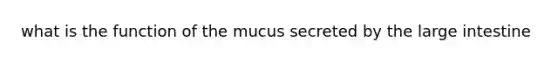 what is the function of the mucus secreted by the large intestine