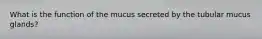 What is the function of the mucus secreted by the tubular mucus glands?