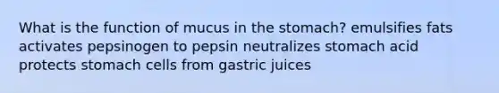 What is the function of mucus in the stomach? emulsifies fats activates pepsinogen to pepsin neutralizes stomach acid protects stomach cells from gastric juices