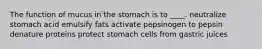 ​The function of mucus in the stomach is to ____. ​neutralize stomach acid ​emulsify fats ​activate pepsinogen to pepsin ​denature proteins ​protect stomach cells from gastric juices