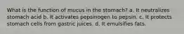 What is the function of mucus in the stomach? a. It neutralizes stomach acid b. It activates pepsinogen to pepsin. c. It protects stomach cells from gastric juices. d. It emulsifies fats.