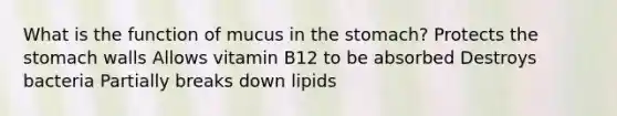 What is the function of mucus in the stomach? Protects the stomach walls Allows vitamin B12 to be absorbed Destroys bacteria Partially breaks down lipids