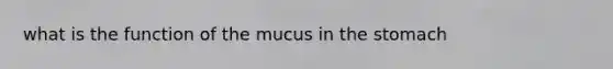 what is the function of the mucus in the stomach