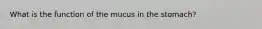 What is the function of the mucus in the stomach?