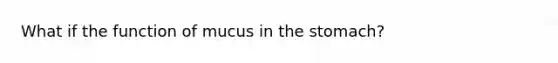 What if the function of mucus in the stomach?